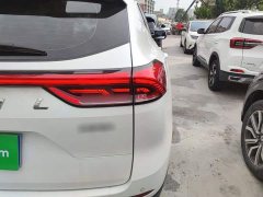 Haval H6 2023 National Trend Edition 1.5T Automatic Urban Version - ფოტო 8