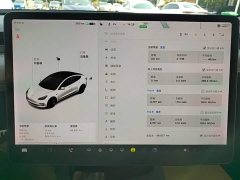 Tesla Model 3 Facelift Standard Range RWD Upgrade 3D1 - ფოტო 12