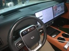 Li Auto L6 Max - ფოტო 10