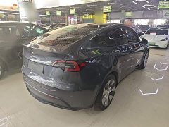 Tesla Model Y Rear-Wheel Drive - ფოტო 5
