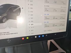 Tesla Model Y Rear-Wheel Drive - ფოტო 8