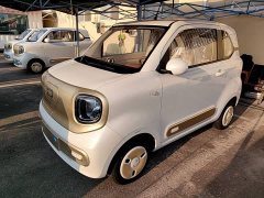 FAW Besturn Xiaoma 2025 222km Dynamic Edition - ფოტო 1