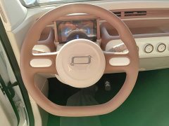 FAW Besturn Xiaoma 2025 222km Dynamic Edition - ფოტო 11