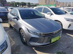 BYD Destroyer 05 Glory Edition DM-i 55KM Luxury - ფოტო 4