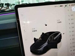 Tesla Model Y Rear-Wheel Drive - ფოტო 14