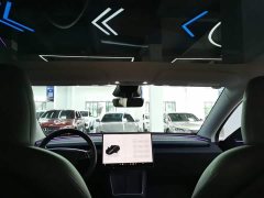 Tesla Model Y Rear-Wheel Drive - ფოტო 18