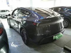 Tesla Model Y Rear-Wheel Drive - ფოტო 5