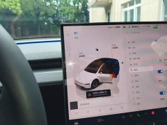Tesla Model Y L 2025 Long Range All-Wheel Drive - ფოტო 10