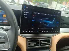 BYD Song L DM-i 2024 160km Exceed - ფოტო 13