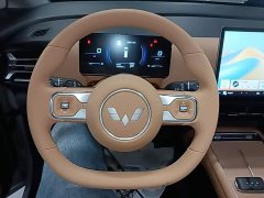 Wuling Starlight 730 New Energy PHEV 125km Luxury - ფოტო 11