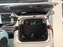 Maxus Dajia 9 Long Range Oasis Seven-Seater - ფოტო 19
