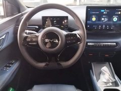 BYD Seagull Glory Edition 305km Vitality Version - ფოტო 11