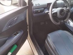 BYD Seagull Glory Edition 305km Vitality Version - ფოტო 16