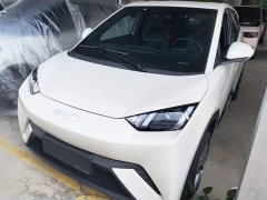 BYD Seagull Glory Edition 305km Vitality Version - ფოტო 2