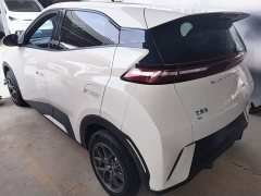 BYD Seagull Glory Edition 305km Vitality Version - ფოტო 5