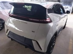 BYD Seagull Glory Edition 305km Vitality Version - ფოტო 7