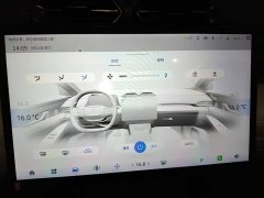 Dongfeng Shijie 06 520km Range - ფოტო 13