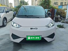 BYD Seagull Smart Driving Edition 305km Freedom Edition - ფოტო 3