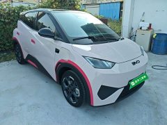 BYD Seagull Smart Driving Edition 305km Freedom Edition - ფოტო 4