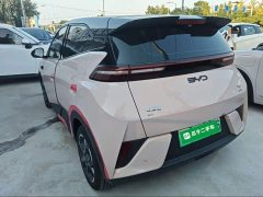 BYD Seagull Smart Driving Edition 305km Freedom Edition - ფოტო 5