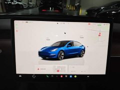Tesla Model 3 Rear-Wheel Drive - ფოტო 13