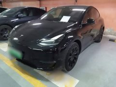 Tesla Model Y Long Range All-Wheel Drive 3D7 - ფოტო 1
