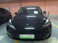 Tesla Model Y Long Range All-Wheel Drive 3D7 - ფოტო 3
