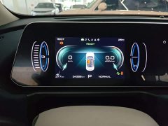 ORA Good Cat 401km Luxury - ფოტო 12