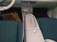ORA Good Cat 401km Luxury - ფოტო 14
