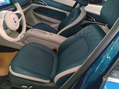 ORA Good Cat 401km Luxury - ფოტო 15