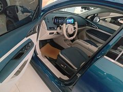 ORA Good Cat 401km Luxury - ფოტო 16