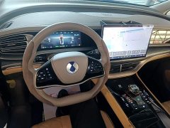 Denza BYD Denza D9 2022 DM-i 1040 Premium - ფოტო 10