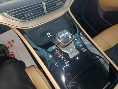 Denza BYD Denza D9 2022 DM-i 1040 Premium - ფოტო 14