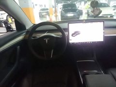 Tesla Model 3 Standard Range RWD Upgrade 3D6 - ფოტო 5