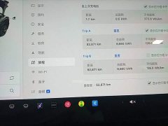 Tesla Model 3 Standard Range RWD Upgrade 3D6 - ფოტო 6
