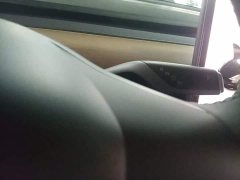 Tesla Model 3 Standard Range RWD Upgrade 3D6 - ფოტო 8