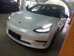 Tesla Model 3 Standard Range RWD Upgrade 3D6 - ფოტო 2