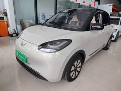 Wuling Binguo 333km Joy Edition - ფოტო 1