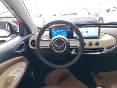 Wuling Binguo 333km Joy Edition - ფოტო 11
