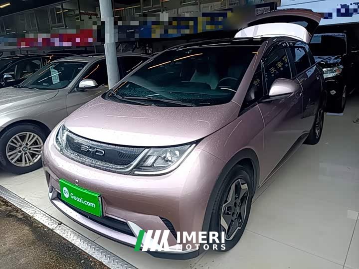 BYD Dolphin 405km Fashion Edition - ავტომობილი ჩინეთიდან