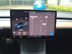 Tesla Model 3 Performance All-Wheel Drive - ფოტო 13