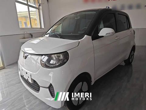 2022 BYD Xiaohoo EV FOR-Four Good Tiger Ternary Lithium