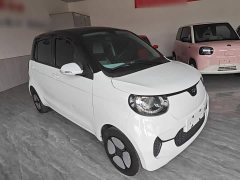 BYD Xiaohoo EV 2021 FOR-Four Good Tiger Ternary Lithium - ფოტო 4