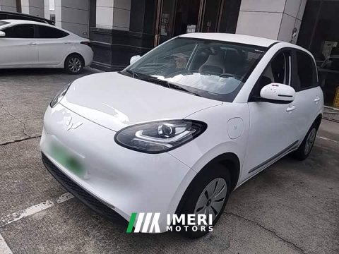 2025 Wuling Binguo 2024 203km Light Enjoy Edition - ავტომობილი ჩინეთიდან