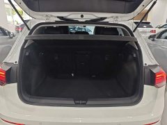 Volkswagen Golf 280TSI DSG 30th Anniversary Edition - ფოტო 19