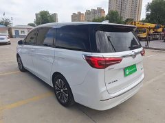 Buick GL8 ES Land Respect 653T Luxury - ფოტო 5