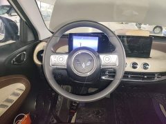 Wuling Binguo 2023 333km Joy Edition - ფოტო 11