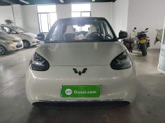 Wuling Binguo 2023 333km Joy Edition - ფოტო 3