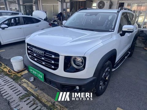 2021 Great Wall Dachshund 2.0T DCT Four-wheel Drive Howling Heavenly Dog Edition - ავტომობილი ჩინეთიდან