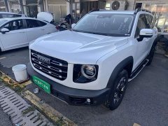 Great Wall Dachshund 2.0T DCT Four-wheel Drive Howling Heavenly Dog Edition - ფოტო 2